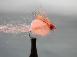 Tan Emergent Sparkle Pupa (12)